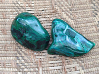 Polished Flower Banded Malachite Free Forms x 6 From Congo