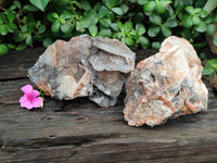 Natural Bladed Barite Specimen x 2 From Congo