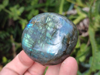 Polished Labradorite Palm Stones x 12 From Tulear, Madagascar