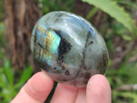 Polished Labradorite Palm Stones x 12 From Tulear, Madagascar