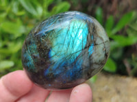 Polished Labradorite Palm Stones x 12 From Tulear, Madagascar