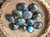 Polished Labradorite Palm Stones x 12 From Tulear, Madagascar