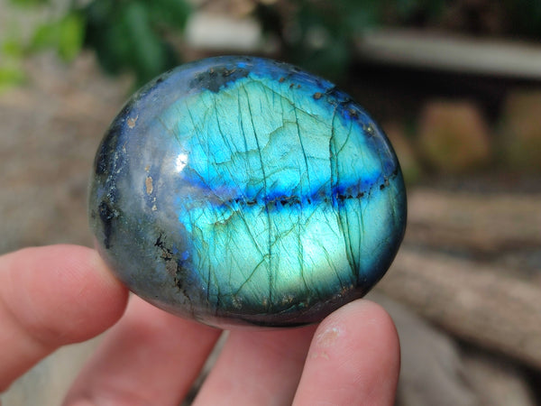 Polished Labradorite Palm Stones x 12 From Tulear, Madagascar