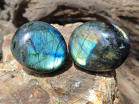 Polished Labradorite Palm Stones x 12 From Tulear, Madagascar