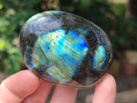 Polished Labradorite Palm Stones x 12 From Tulear, Madagascar