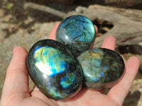 Polished Labradorite Palm Stones x 12 From Tulear, Madagascar