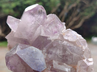 Natural Jacaranda Amethyst Quartz Clusters x 3 From Mumbwa, Zambia