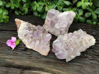 Natural Jacaranda Amethyst Quartz Clusters x 3 From Mumbwa, Zambia