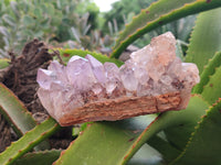 Natural Jacaranda Amethyst Quartz Clusters x 3 From Mumbwa, Zambia