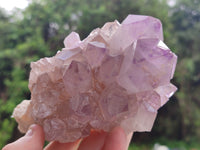 Natural Jacaranda Amethyst Quartz Clusters x 3 From Mumbwa, Zambia