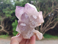 Natural Jacaranda Amethyst Quartz Clusters x 3 From Mumbwa, Zambia