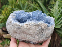 Natural Celestite Geode Specimens x 1 From Sakoany, Madagascar