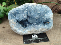 Natural Celestite Geode Specimens x 1 From Sakoany, Madagascar