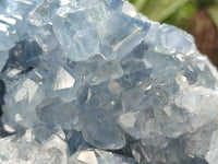 Natural Celestite Geode Specimens x 1 From Sakoany, Madagascar