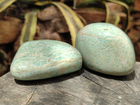 Polished Amazonite Free Forms x 8 From Madagascar