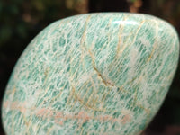 Polished Amazonite Free Forms x 8 From Madagascar