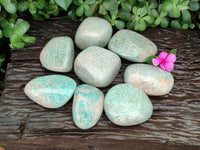 Polished Amazonite Free Forms x 8 From Madagascar