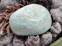 Polished Amazonite Free Forms x 8 From Madagascar