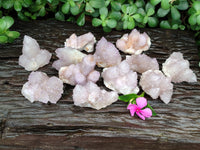 Natural Amethyst Spirit Quartz Clusters x 12 From Boekenhouthoek, South Africa