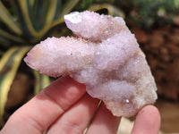 Natural Amethyst Spirit Quartz Clusters x 12 From Boekenhouthoek, South Africa