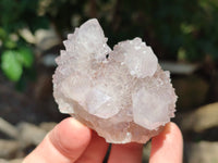 Natural Amethyst Spirit Quartz Clusters x 12 From Boekenhouthoek, South Africa