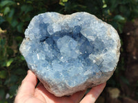 Natural Large Celestite Geode Specimens x 1 From Sakoany, Madagascar