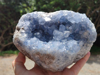 Natural Large Celestite Geode Specimens x 1 From Sakoany, Madagascar