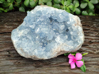 Natural Large Celestite Geode Specimens x 1 From Sakoany, Madagascar