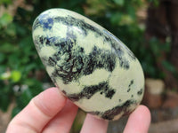 Polished Leopard Stone Free Forms x 6 From Zimbabwe