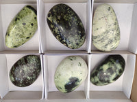 Polished Leopard Stone Free Forms x 6 From Zimbabwe