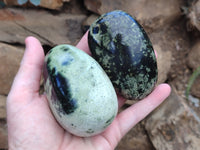 Polished Leopard Stone Free Forms x 6 From Zimbabwe