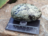 Polished Leopard Stone Free Forms x 6 From Zimbabwe