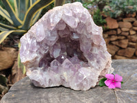 Natural Large Jacaranda Amethyst Quartz Cluster x 1 From Mumbwa, Zambia