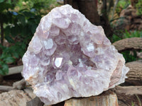 Natural Large Jacaranda Amethyst Quartz Cluster x 1 From Mumbwa, Zambia