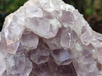 Natural Large Jacaranda Amethyst Quartz Cluster x 1 From Mumbwa, Zambia