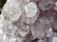 Natural Large Jacaranda Amethyst Quartz Cluster x 1 From Mumbwa, Zambia