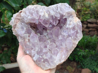 Natural Large Jacaranda Amethyst Quartz Cluster x 1 From Mumbwa, Zambia