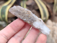 Natural Drusy Quartz Coated Calcite Pseudomorph Crystals x 20 From Lesotho