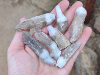 Natural Drusy Quartz Coated Calcite Pseudomorph Crystals x 20 From Lesotho