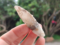 Natural Drusy Quartz Coated Calcite Pseudomorph Crystals x 20 From Lesotho