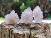 Natural Amethyst Spirit Quartz Crystals x 70 From Boekenhouthoek, South Africa