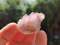 Natural Amethyst Spirit Quartz Crystals x 70 From Boekenhouthoek, South Africa