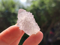 Natural Amethyst Spirit Quartz Crystals x 70 From Boekenhouthoek, South Africa