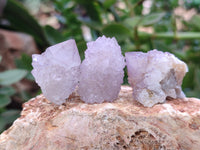 Natural Amethyst Spirit Quartz Crystals x 70 From Boekenhouthoek, South Africa