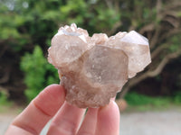 Natural Smokey Phantom Quartz Clusters x 6 From Luena, Congo