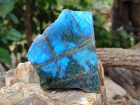 Polished on One Side Labradorite Slices x 12 From Tulear, Madagascar