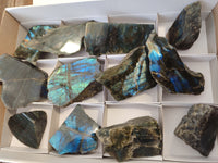 Polished on One Side Labradorite Slices x 12 From Tulear, Madagascar