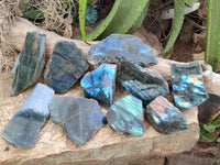 Polished on One Side Labradorite Slices x 12 From Tulear, Madagascar