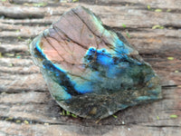 Polished on One Side Labradorite Slices x 12 From Tulear, Madagascar