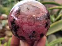 Polished Rhodonite Sphere x 3 From Ambindavato, Madagascar